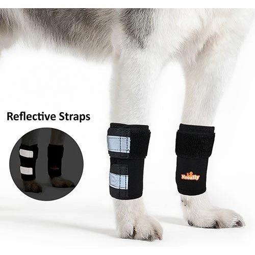 Front Leg OrthoCare