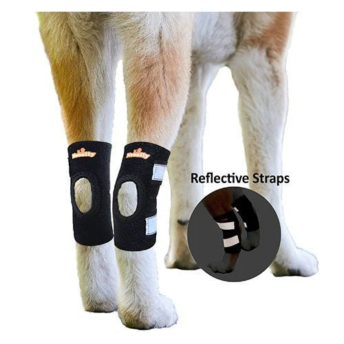 Pet Ortho Care